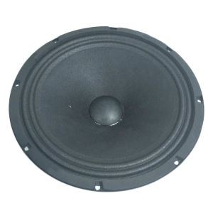 Woofer da 10 pollici per car audio di fascia media