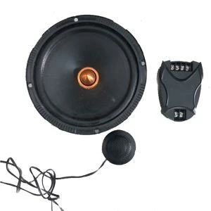 Altoparlanti da 6,5 pollici con tweeter da 20 mm